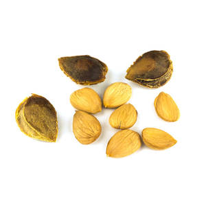 Granos de albaricoque crudos | Sabor natural para recetas tradicionales y de bienestar - Product Image 3