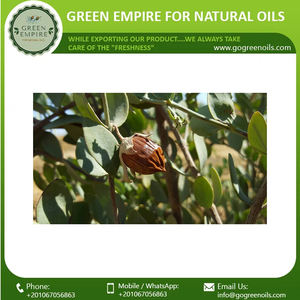 Precio de fábrica de la mejor calidad 100% aceite de jojoba prensado en frío a granel natural puro para la piel de la India - Product Image 3
