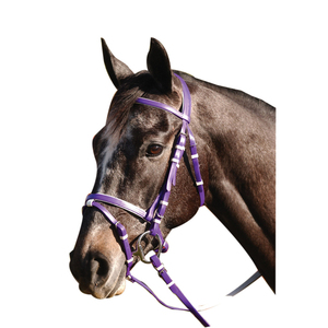 Hanoverian-brida Eventing de PVC, elegante, con rieles de goma a juego - Product Image 1