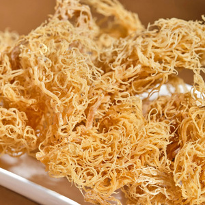 Premium quality dry sea <b>moss</b> wholesale cheapest price eucheuma cottonii seaweeds provided from best supplier - Product Image 1