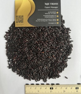 ข้าวเหนียวดำ เมล็ดยาว คุณภาพดี ข้าวบดละเอียด 5% ข้าวแตก ผลผลิตใหม่ ส่งออกโดย ซูท แม็กง เวียดนาม - Product Image 2