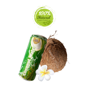 Jugo de frutas y verduras de agua de coco listo para la exportación global - Product Image 4