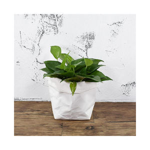 Rouleau Jumbo de papier doublure plantes kraft vierge - Product Image 2