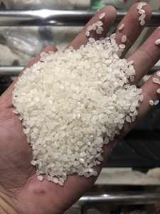 ข้าวญี่ปุ่นพรีเมียม จำหน่ายราคาส่ง สำหรับร้านอาหาร ค้าปลีก และส่งออก เนื้อข้าวนุ่มเหนียว คุณภาพสูง - Product Image 4