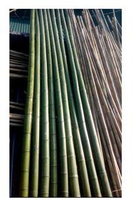 Poteau en bambou naturel écologique et durable de Vietnamien pour l'exportation avec un prix compétitif - Product Image 3