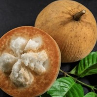 Santol Wild Food Grade Poederextract Tropisch Fruitextract Functioneel Voedingsmiddel Drank Alle Seizoenen Siammit Merk Groothandel OEM