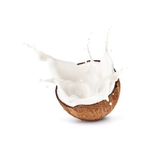 Leche de coco enlatada de alta calidad directa de fábrica para cocinar hacer gelatina - Product Image 1
