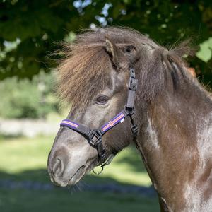 Brida de Doma Acolchada Cómoda para Caballos, Portátil, de Cuero Ecuestre en Colores Negro y Marrón, Modelo Rub International 7860B - Product Image 3