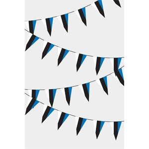 Guirlande de fanions triangulaires d'Estonie avec logo personnalisé imprimé numériquement en polyester, soie et plastique, couleurs arc-en-ciel - Product Image 1