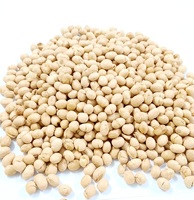 Germination et graines de soja jaune sec de qualité alimentaire soja jaune séché à haute teneur en protéines pour l'alimentation humaine