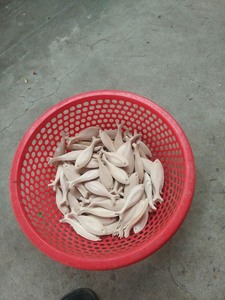 ปลาจากเวียดนามทำด้วยมือไม้ธรรมชาติคุณภาพดี - Product Image 6