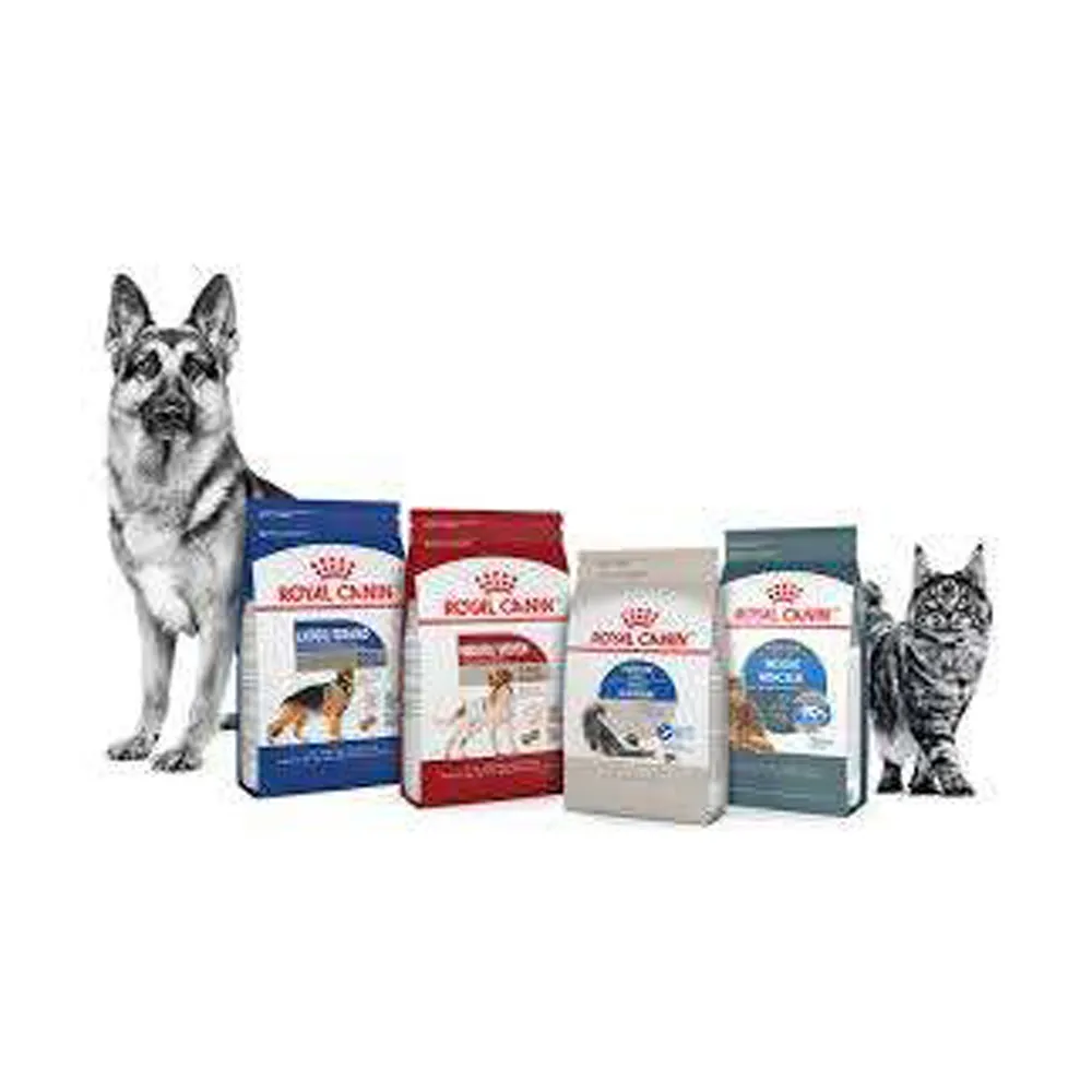 Royal Canin Breed Health Nutrition Miniature Schnauzer Puppy Dry Dog Food