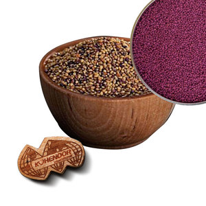 Berseem Clover Culture agricole à haute teneur en protéines et à faible teneur en fibres à des fins fourragères - Product Image 1