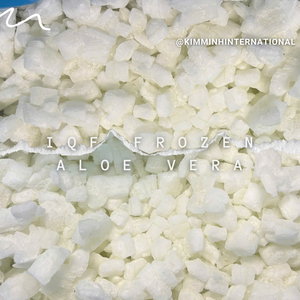 Cubos de Aloe Vera Congelados IQF de Calidad de Exportación para Bebidas y Postres - Product Image 3