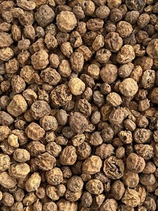 ถั่วไทเกอร์นัทคุณภาพสูง สดใหม่ ปลูกจากธรรมชาติ ล้างแล้ว เกรด 100 จากออสเตรีย สำหรับส่งออก ราคาถูก อายุการเก็บรักษา 24 เดือน - Product Image 4