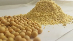 Harina de soja orgánica en venta - Product Image 5