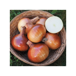 15KG Oignons Jaunes Frais Origine Prix Pas Cher Taille 9CM up - Product Image 6