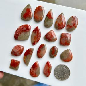 Corail rouge Corail Cabochon Corail rouge de l'Utah Meilleur pour les cadeaux Collection exclusive de corail au prix de gros Achetez-le maintenant - Product Image 5