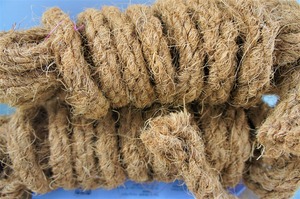 Cuerdas de fibra de coco rizadas a granel de Vietnam, cuerdas de fibra de coco Premium perfectas para agricultura, jardinería y exportación de suministro global - Product Image 5