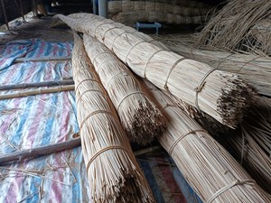 Proveedor principal de materiales de ratán blanqueados/Núcleo de ratán natural no químico/Núcleo de ratán redondo natural hecho en Vietnam - Product Image 2