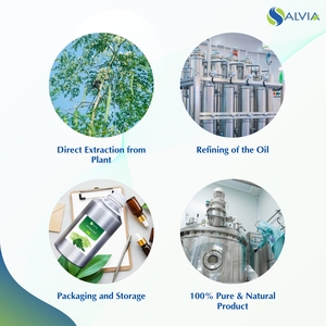 Moringa Seed Essential Oil for Creams, Lotions, Balms, <b>Scrubs</b>, <b>Body</b> Oils, and Hair Care Formulations - Product Image 4