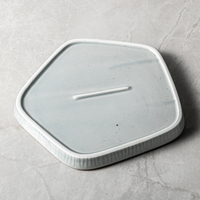 Assiettes en céramique grises claires durables et résistantes aux rayures avec glaçure réactive – Vaisselle de restaurant