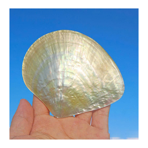 Vietnam nacre coquille tranches nacre pièces pour la décoration de la maison meubles incrustation bijoux et artisanat utilisations - Product Image 2