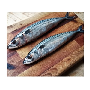 Vendedor mayorista de pescado macarela española entera congelada a precio económico - Product Image 6