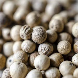Fresh Raw White Pepper AD Dried Premium Quality for Bulk Orders with Excellent Taste and Aroma - Product Image 5