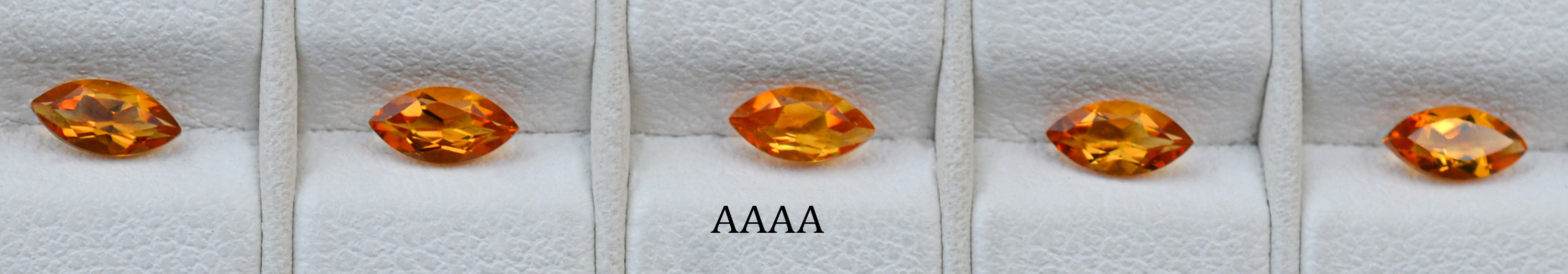 AAAA