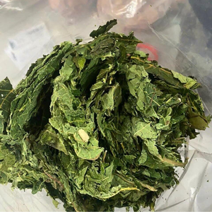 ใบมะละกอแห้งเพื่อเสริมภูมิคุ้มกัน ดีท็อกซ์ บรรเทา และสุขภาพแบบองค์รวม - Product Image 2