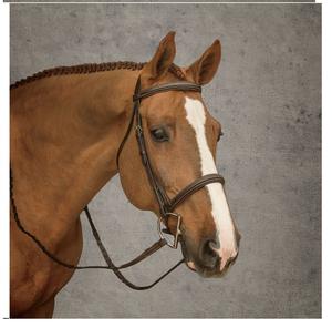 Belle bride anatomique pour dressage Rembourrage doux et produits pour chevaux confortables - Product Image 3