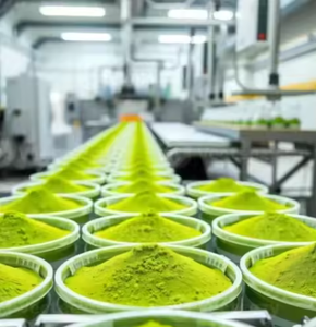 Poudre de matcha de qualité supérieure, grade fin, pour l'industrie des boissons, Vietnam - Product Image 6