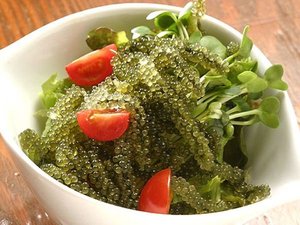 สาหร่ายทะเลเวียดนามพรีเมียม – ไข่ปลาคาเวียร์สีเขียวสดใหม่ที่อุดมด้วยสารอาหาร - Product Image 3