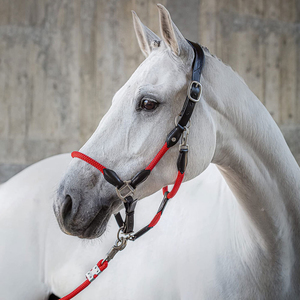 Fabricants Professionnels Vente Chaude Prix Abordables Licols pour Chevaux de Haute Qualité 2024 Meilleurs Licols pour Chevaux en Gros - Product Image 2