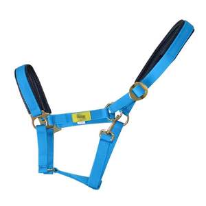 Ensemble de laisse pour cheval de style western avec sangle en PP de 25 mm de large, œillet métallique et rembourrage en polaire, prix d'usine - Product Image 2