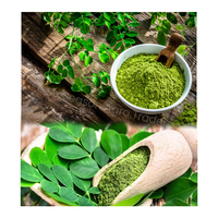 Polvo de Moringa Orgánico de Calidad de Exportación, Extracto de Hoja, Suplemento Herbal, Suministro a Granel de Bangladesh, Extracto de Planta, Proveedor Mayorista