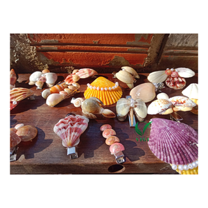 Eco Shell <b>Hair</b> <b>Barrette</b> Vietnam Natural Handmade <b>Hair</b> Clip For Girls, Beach Outfits, And Gift Boxes - Product Image 4