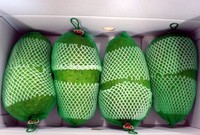 Vers Zuur Sop Fruit Vers Graviola Fruit Uit Vietnam Whatsapp 84 917 476 477