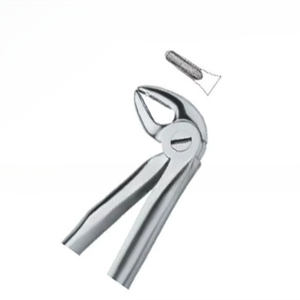 Forceps d'extraction dentaire Fig.33 Diam, manuel, en acier inoxydable de haute qualité, instruments dentaires avec logo personnalisé - Product Image 1