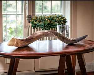 Cuerno vikingo natural para beber y soplar - Product Image 1