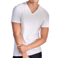 T-shirt personnalisé 100% coton 160 GSM pour homme, plusieurs couleurs unies, léger, coupe ajustée, col en V, étiquettes de taille, logo, faible MOQ-prix