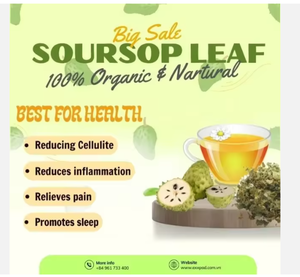 ใบมะขามป้อมอบแห้งพรีเมียม (รสชาติแท้ของเวียดนาม) - Product Image 4