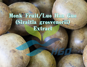 Approvisionnement direct de l'usine HGO Extrait de fruit de moine naturel/Luo Han Guo (Siraitia grosvenorii) Mogroside V 15% (extrait standardisé) - Product Image 2