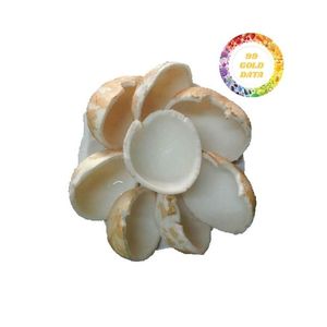 เนื้อมะพร้าวแช่แข็งสีขาวบริสุทธิ์สำหรับการส่งออกขายส่งส่วนผสมสำหรับการใช้ของหวานและเครื่องดื่ม - Product Image 1