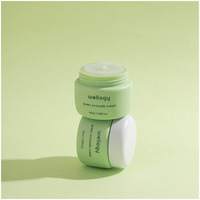 Crème et lotion pour le visage WELLOGY Vegan Green Avocado avec de la niacinamide, de la vitamine C et de l'acide hyaluronique pour tous les types de peau