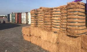 Fibra de coco OEM de fábrica VIFARMEX Vietnam | Exportación de fibra de coco a granel a precio de fábrica competitivo - Product Image 2