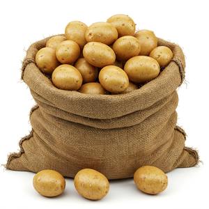 Alta calidad Francia Origen Granja Cultivado Papas frescas Suministro a granel Venta al por mayor Exportación Cocinar Alimentos Fabricación Minoristas - Product Image 5