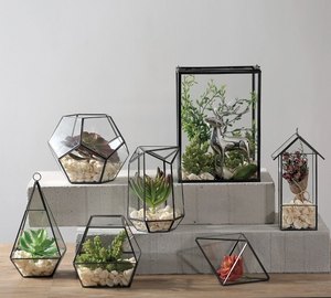 Chất Lượng Cao Thủy Tinh Mô Hình Hình Học Hồ cạn Cho Hoa Hiển Thị Và Bảng Trang Trí Tại Bán Buôn Và Nhà Máy Giá Từ Ấn Độ - Product Image 1