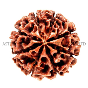 Hạt Rudraksha Nepal màu nâu đậm, 5 đến 15 mặt khác nhau, dùng làm chuỗi cầu nguyện, trang sức thời trang, hàng Rudraksha chính hãng, đang giảm giá - Product Image 1